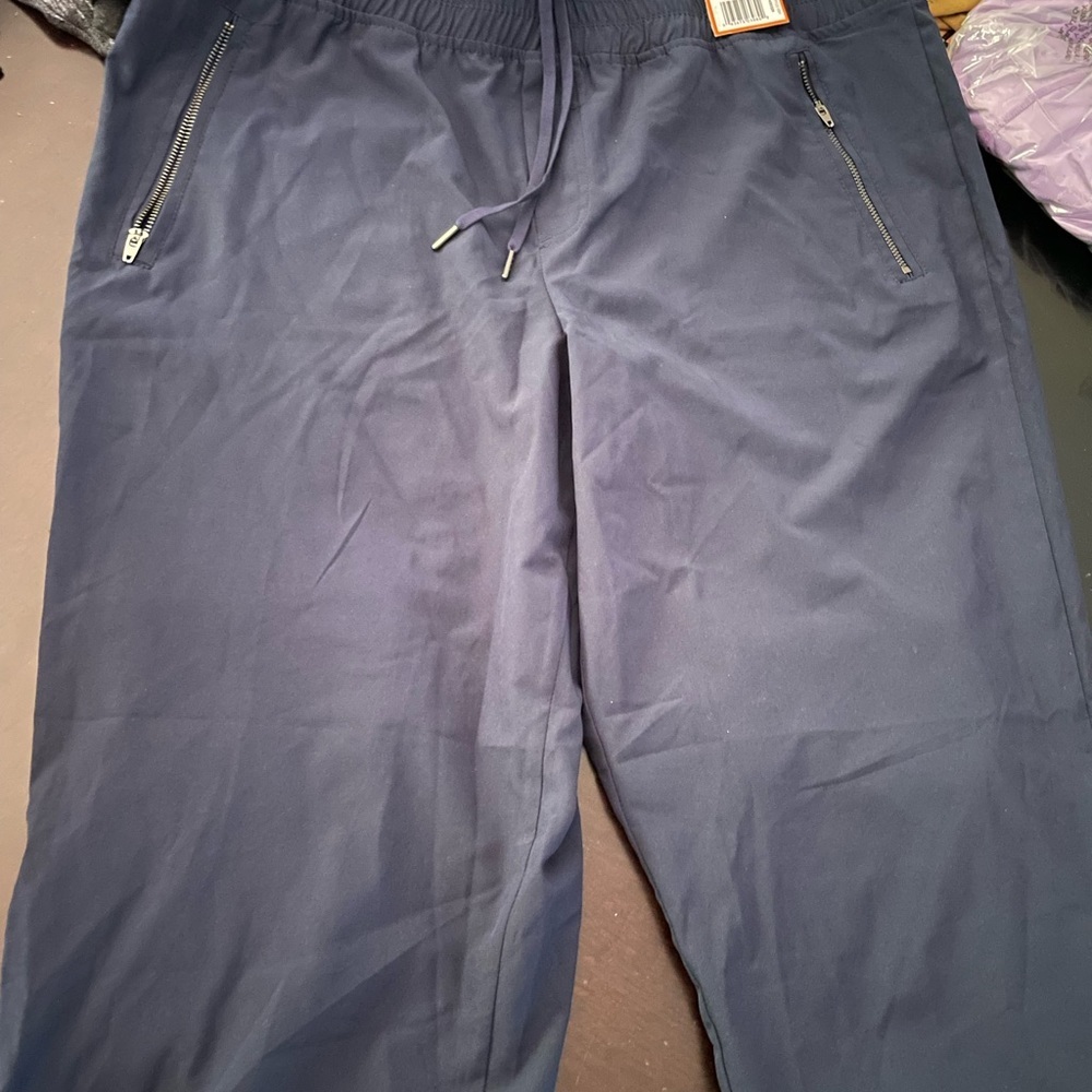 DanSkin women’s L pants - Picture 2 of 5